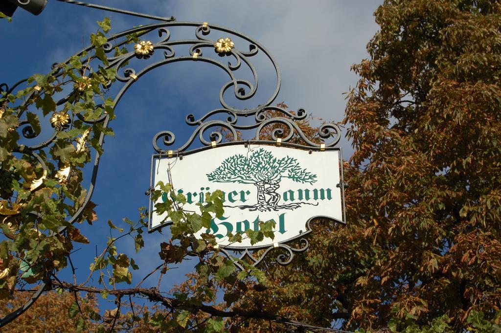 绿树酒店 Bretzenheim 外观 照片